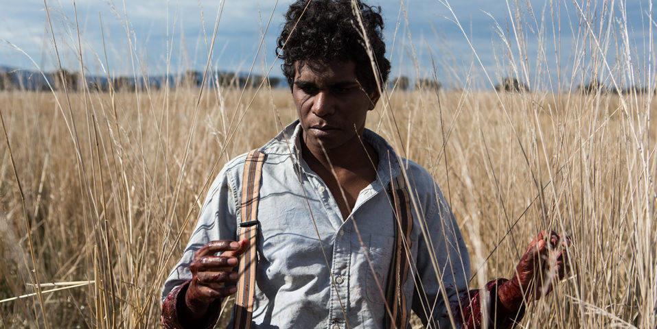 Still from 'Swallows' showing a man in a wheat field